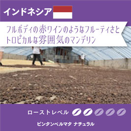 インドネシア ビンタンペルマタ ナチュラル〔自家焙煎珈琲豆〕