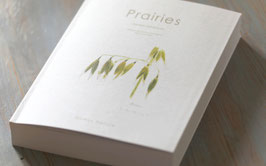 Prairies