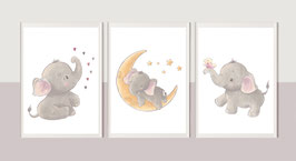 Kinderzimmerbilder Set "Kleiner Elefant"