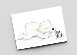 Postkarte "Kleiner Eisbär im Schnee"
