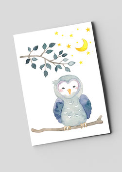 Postkarte "Eule"