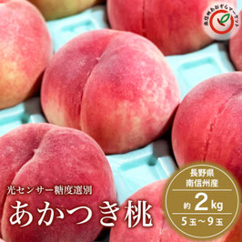 【2026年】あかつき桃 約２kg 【7月下旬から発送予定】