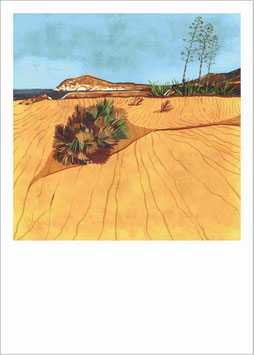 DUNAS EN LOS GENOVESES