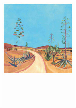 CAMINO DE ÁGAVES