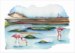 ACUARELA FLAMENCOS EN LAS SALINAS
