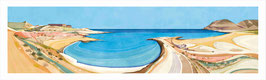 PANORÁMICA DEL PLAYAZO