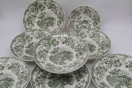 "FLOWERS" wie Ironstone England grün 6er Suppenteller / Schüssel Schale
