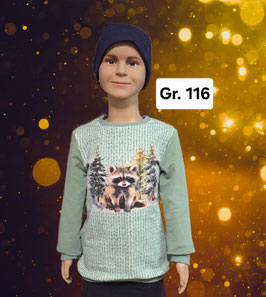 Pullover Gr. 116 Waschbär