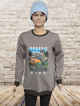 Pullover Gr. 140 Dinosaurier