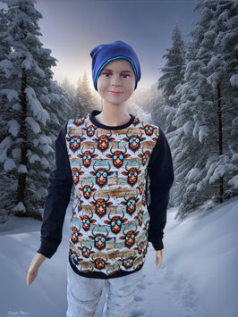 Pullover Gr. 140 Stier