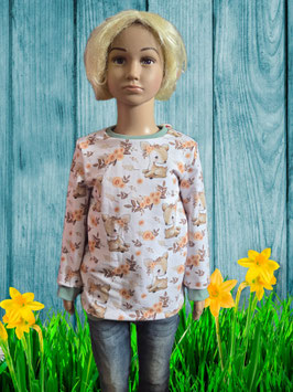 Pullover Gr. 116 Reh