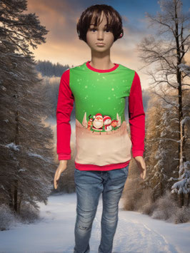 Pullover Gr. 122 Wichtel