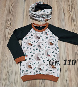 Pullover Gr. 110 & Loopschal
