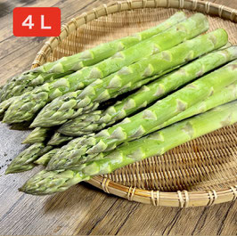 【順次発送中❗️】(500g~2kg)信州安曇野産 本当に旨いから騙されたと思って食べてみてアスパラガス【希少な超極太2L-4Lサイズ】