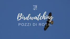 DOM 31/05 | Birdwatching Pozzi di Rota: laghetti carsici dell'Alta Murgia | Puglia