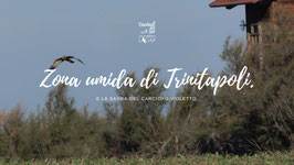 DOM 30/11 | Zona umida di Trinitapoli e sagra del carciofo violetto | Puglia