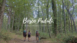 SAB 18/07 | Bosco Paduli sotto le stelle: Monti Dauni | Puglia