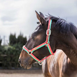 CABEZADA MARJOMAN NYLON CLOSED MOUTH
