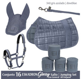 CONJUNTO Nº16 ESKADRON GLOSSY