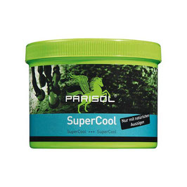 SUPER-COOL GEL DE TENDONES BENSE & EICKE