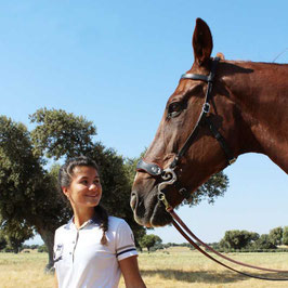 CABEZADA HACKAMORE