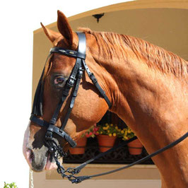 CABEZADA MARJOMAN MODELO JEREZANA MUSEROLA INGLESA CON RIENDAS
