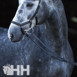 RIENDAS HORSEWARE MICKLEM COMPETITION BRIDLE