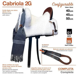 SILLA ZALDI C. CABRIOLA 2G (COMPLETA)