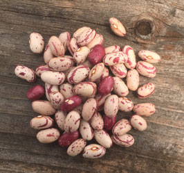 Italian Cranberry - Our Own - Organic