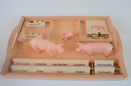 BM383: Tierfamilie Schwein