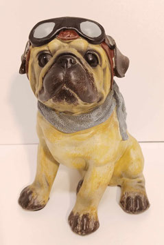 Bouledog avec casque