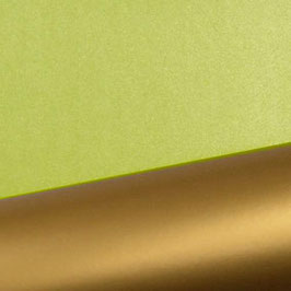 BI90100 UNI Moosgrün-Gold