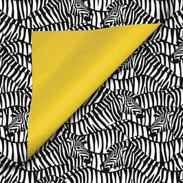 KK820    ZEBRA LOOK
