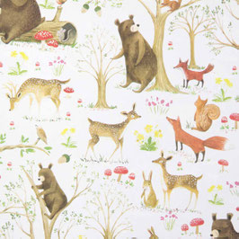 STA1813-9901A  FAIRYTALE FOREST