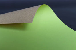 STA0532606GU UNI RECYCLING AVOCADO