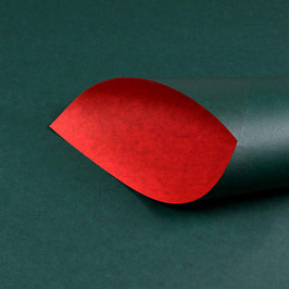 BI119000 UNI dunkelgrün-rot