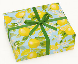 STA2707-2600A    LEMON 2026