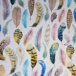 STA1817-9901A   FEATHER