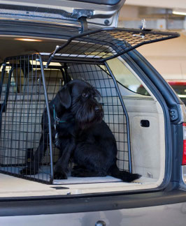 Sofort verfügbar! – Hundetransportbox Medium – ideal für Beagle, Cocker Spaniel und ähnlich gebaute Hunde