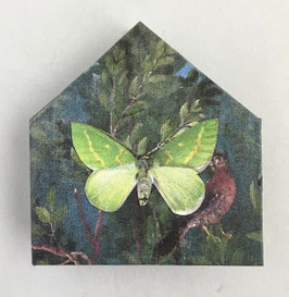 Artist Book:  Flutterbies in the House!