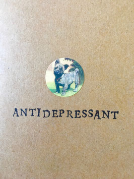 Antidepressant (10)