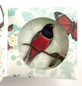 Artist Book:  Nature Diorama Book