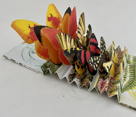 Artist Book:  Butterflies on Parade