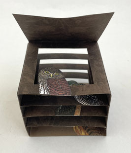 Artist Book:  Flat Owls