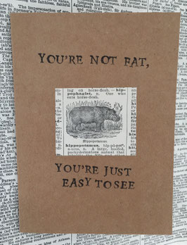 You'e not fat! (9)