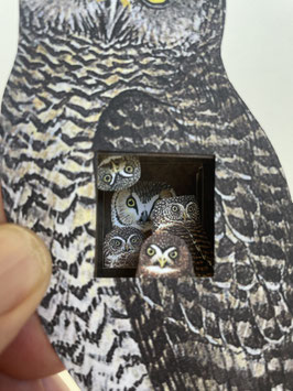 Artist Book:  Owls in the Belly