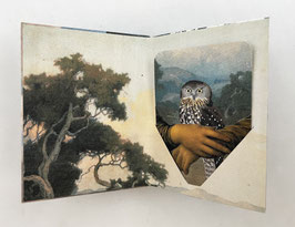 Artist Book:  Touching Owls