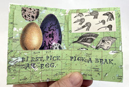 Artist Book:  How to Make a Bird