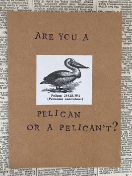 Are you a pelican or a pelican't? (100)