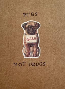 Pugs Not Drugs (71)